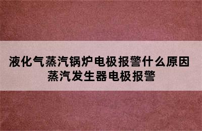 液化气蒸汽锅炉电极报警什么原因 蒸汽发生器电极报警